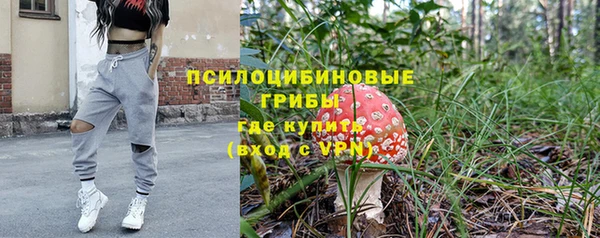 крисы Новокубанск