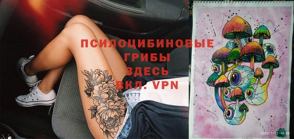 спайс Корсаков