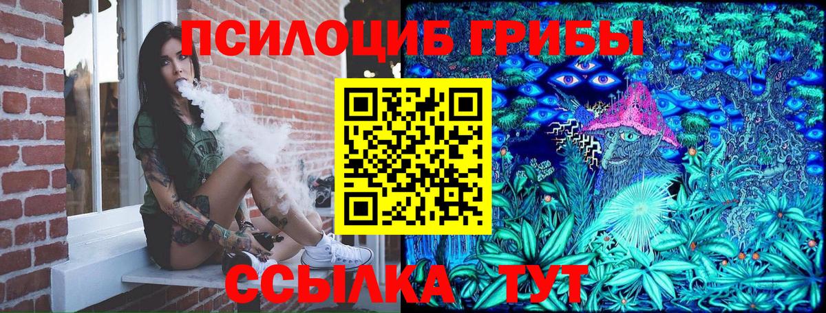 Галлюциногенные грибы мицелий  Вход с VPN  Новый Уренгой  Галлюциногенные грибы Psilocybe 